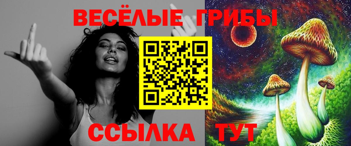 Псилоцибиновые грибы Psilocybe Новый Уренгой